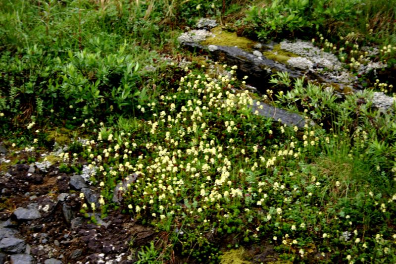 070404 Hope Hatcher Montana Creek (10154)